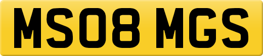 MS08MGS